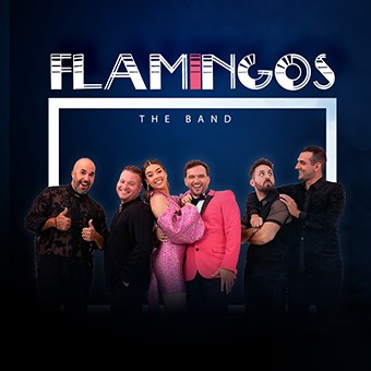flamingos theband 1