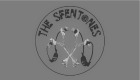 SfenTones logo