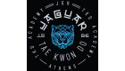 jaguar taekwondo LOGO