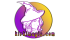 kirkimagiclogo