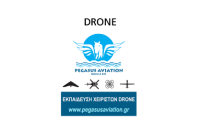 pegasus aviationLOGO24